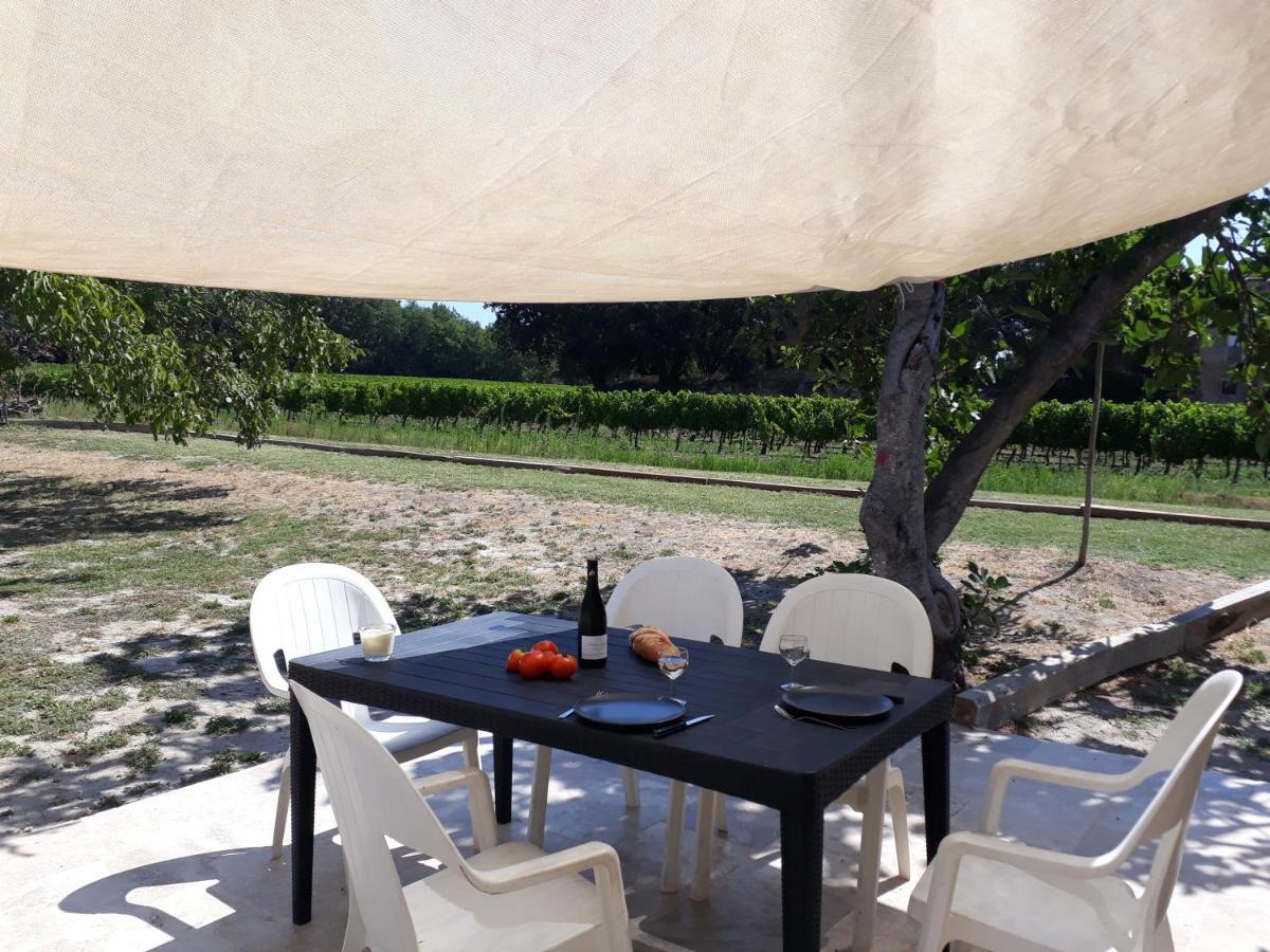 La Petite Maison Dans Les Vignes Chamaret 外观 照片