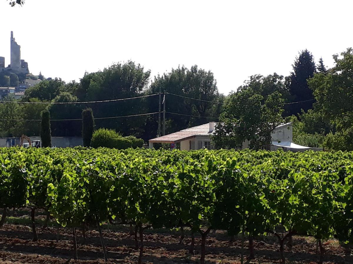 La Petite Maison Dans Les Vignes Chamaret 外观 照片