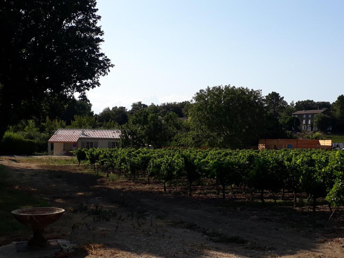 La Petite Maison Dans Les Vignes Chamaret 外观 照片