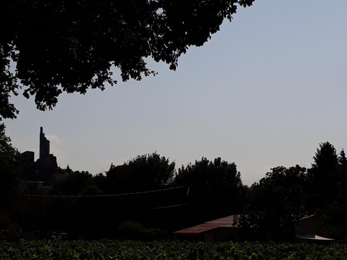 La Petite Maison Dans Les Vignes Chamaret 外观 照片